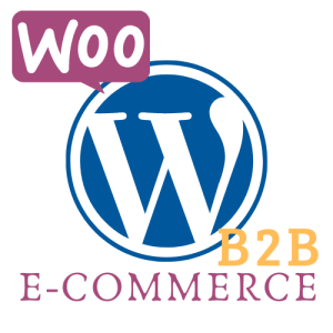 B2B E-Commerce