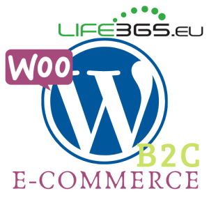 B2C Dropshipping E-Commerce